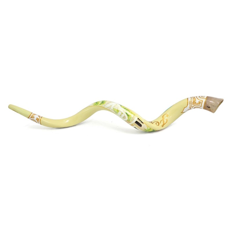 Jerusalem with Star of David and Menorah Hand Painted Kudu Shofar